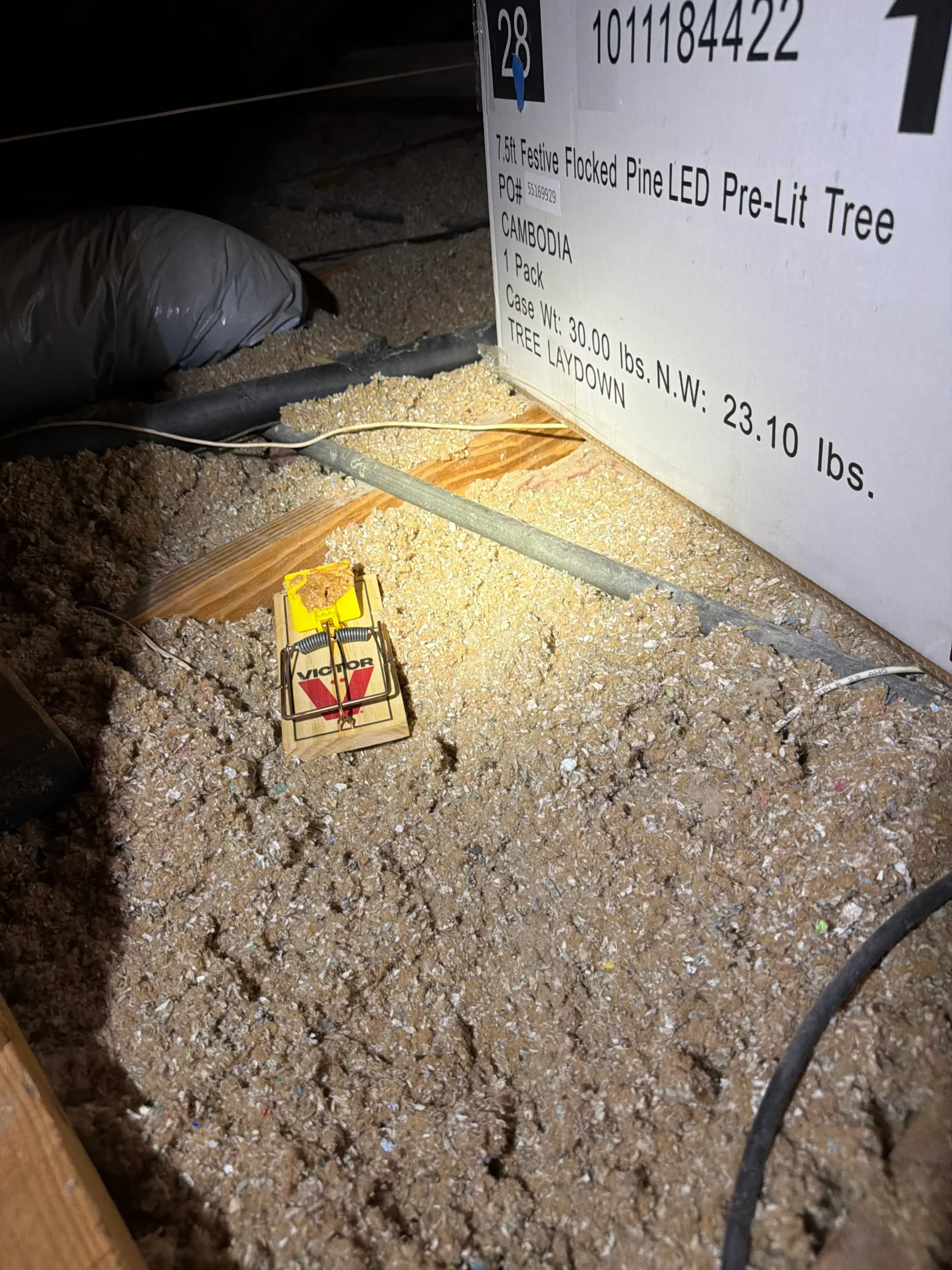 Snap traps set in soil with monitoring equipment and pest control supplies