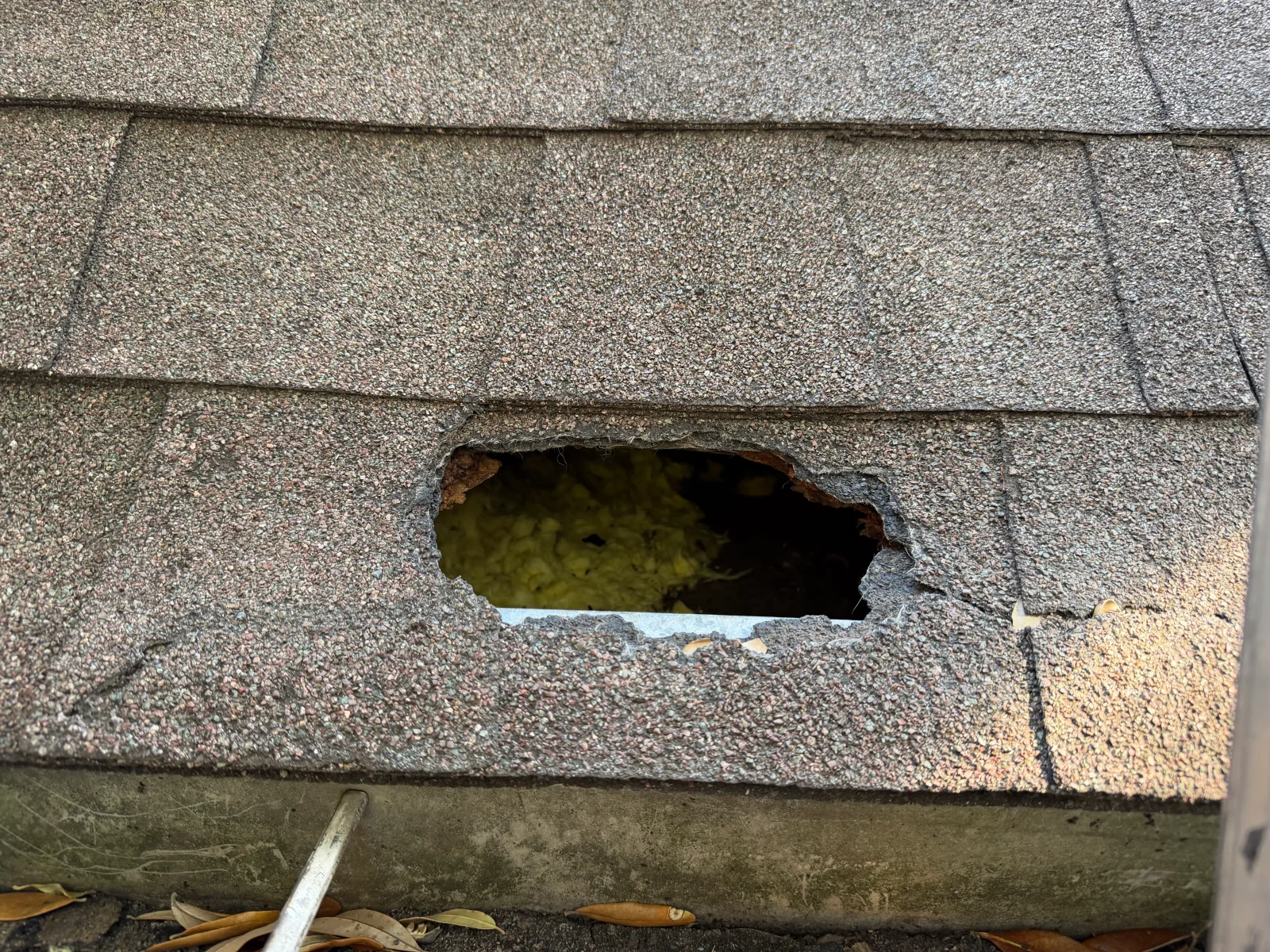 Damaged asphalt shingle roof soffit with large rodent entry hole exposing attic cavity