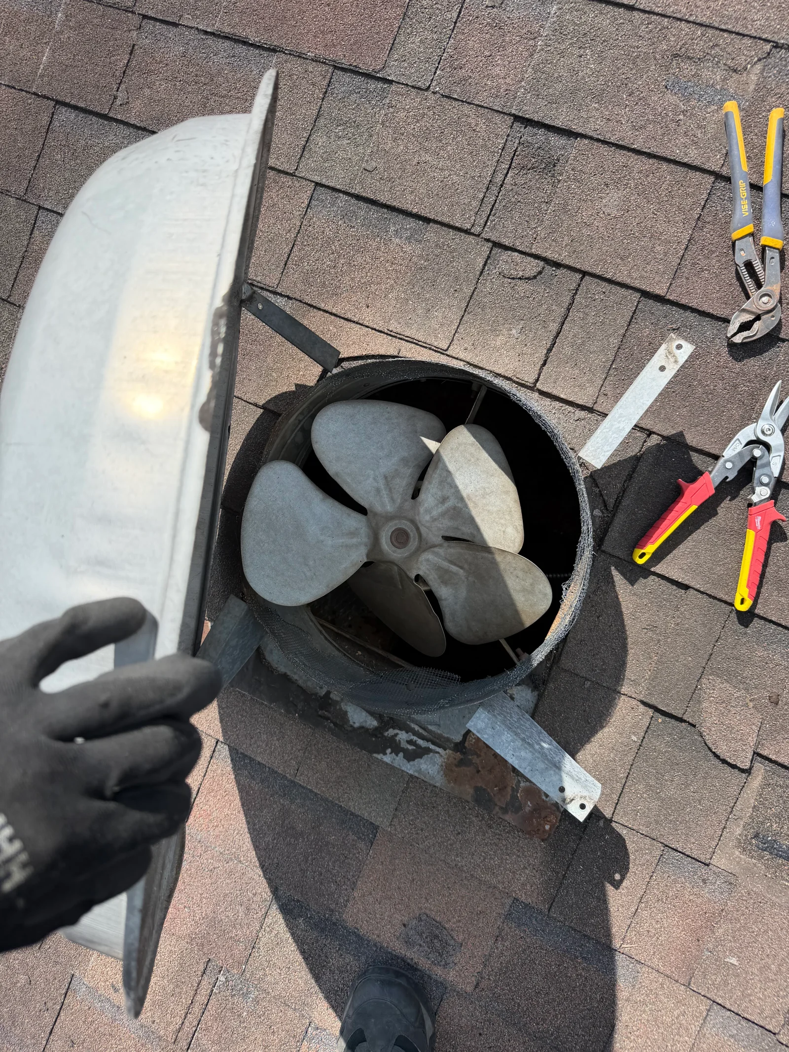 Roof vent damper with one-way flapper installed on asphalt shingle roof, showing internal mechanism and installation hardware