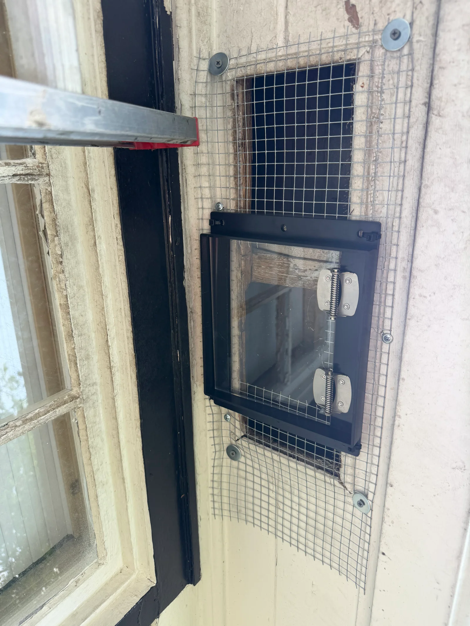 Welded wire mesh exclusion screen with black frame and dual latches mounted on exterior wall