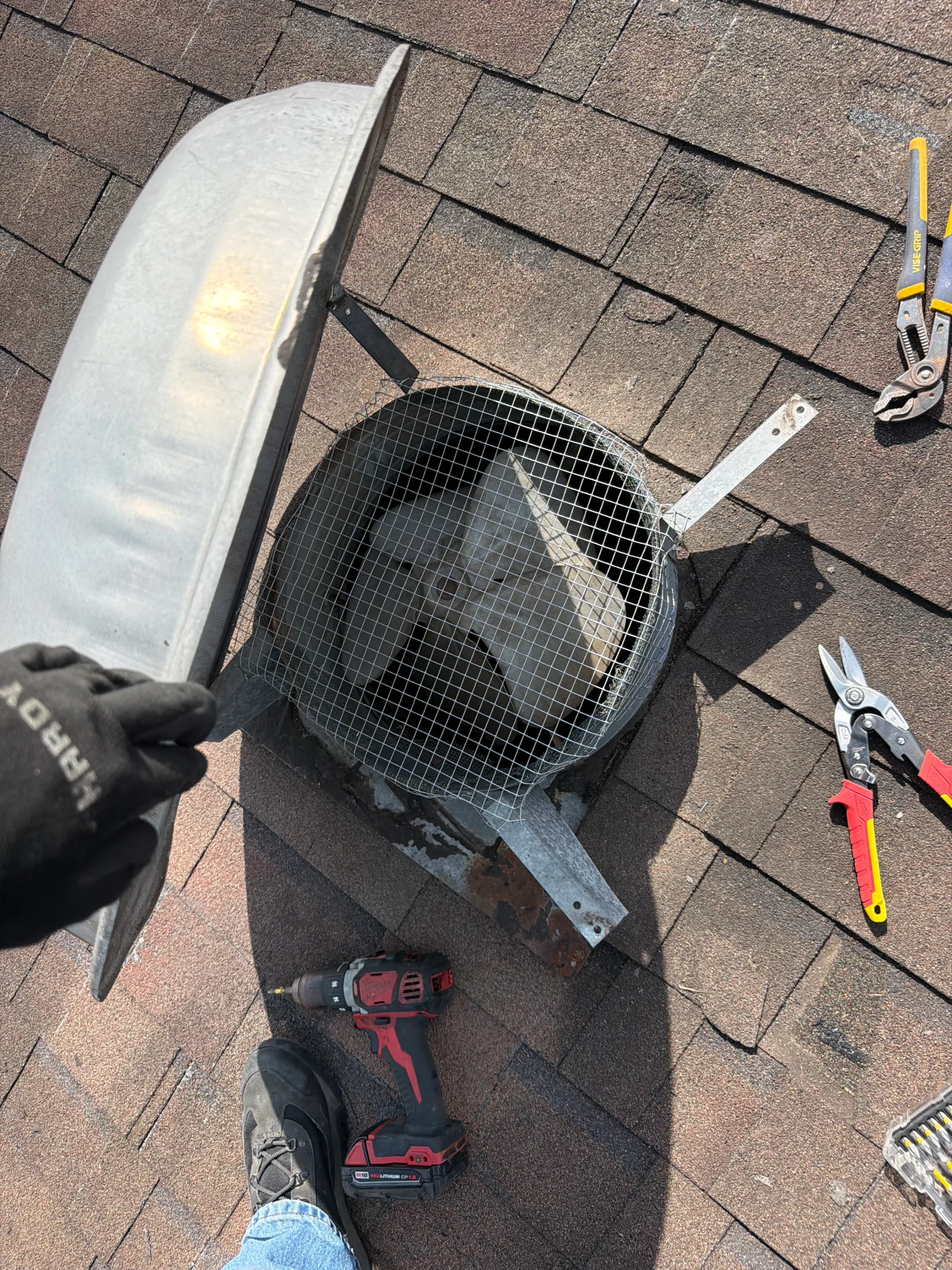 Roof vent with new wire mesh screen installed, showing tools and materials on asphalt shingle roof