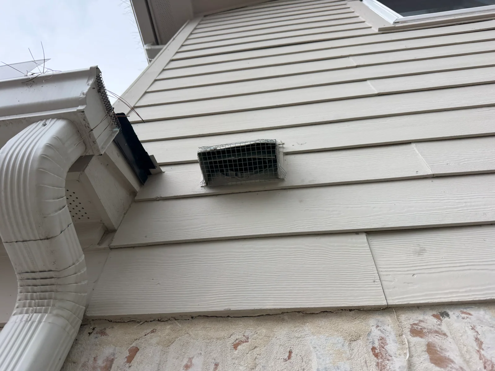 Metal mesh exclusion screen installed on dryer vent in vinyl siding