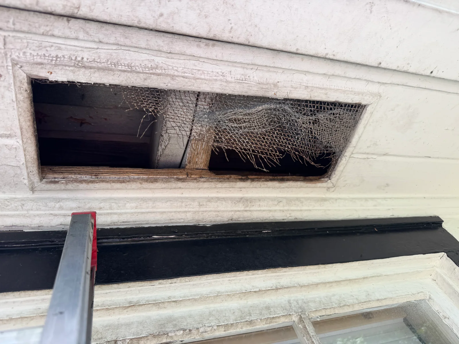 Soffit opening with installed exclusion screening and removed nesting material from wildlife intrusion
