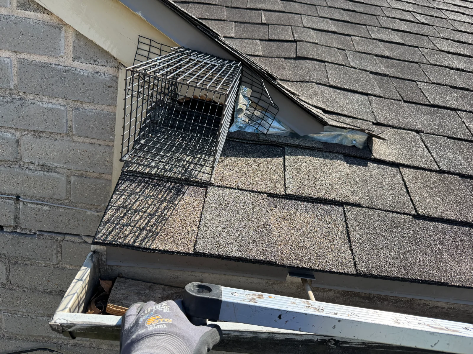 Steel mesh vent guard installed on roof vent opening with brick chimney and asphalt shingles visible