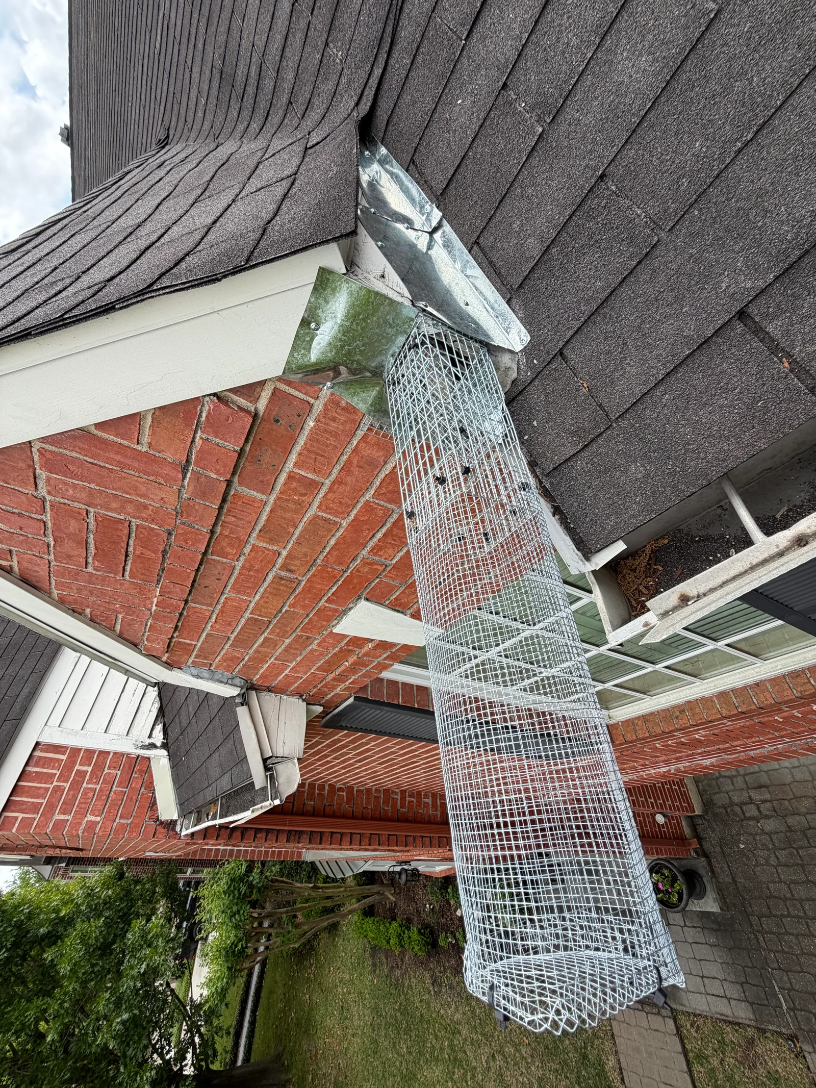 Metal mesh exclusion screen installed on residential dryer vent with metal flashing cap