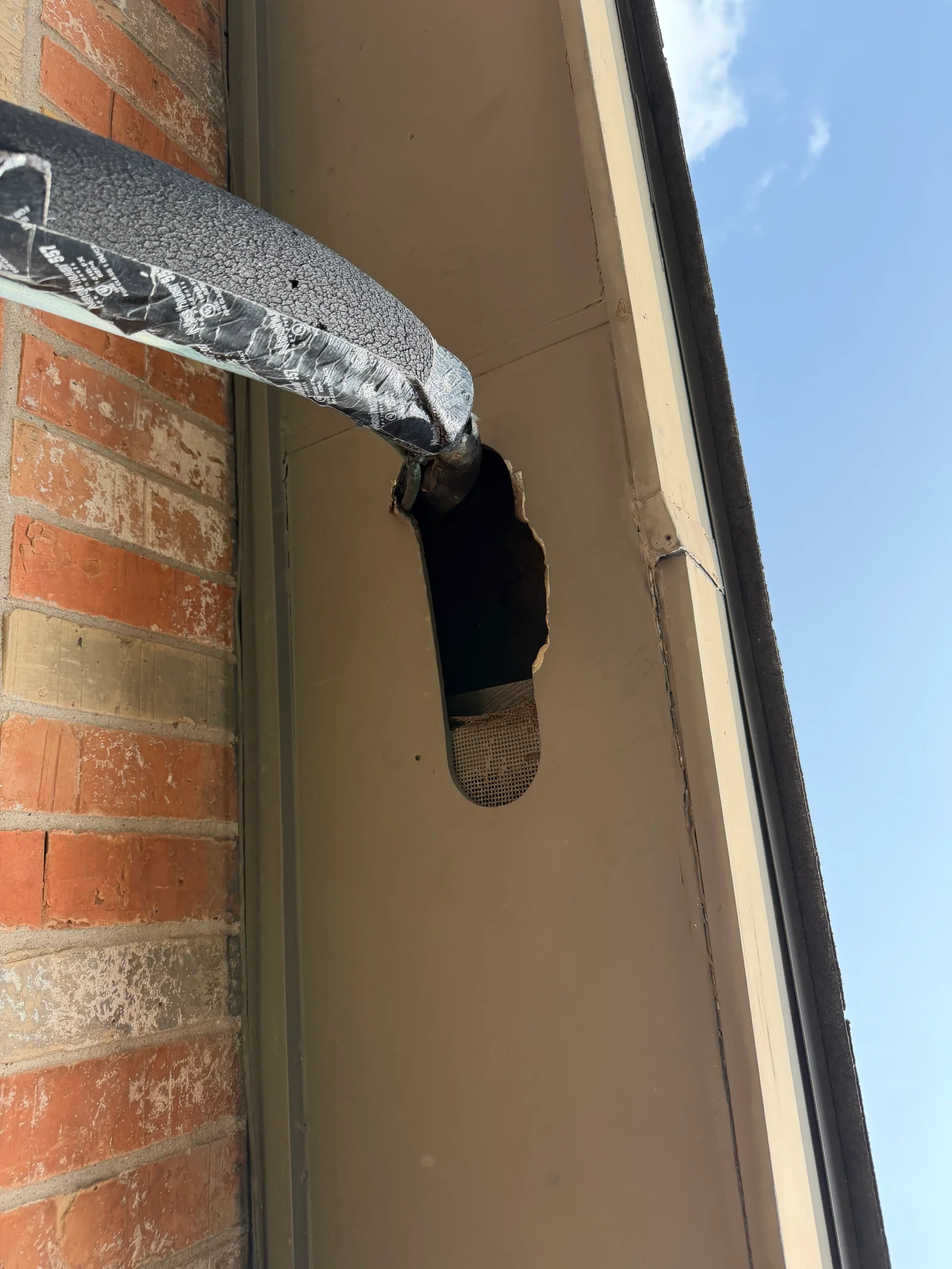 One-way exclusion door installed on dryer vent with insulated duct wrap and mesh screening