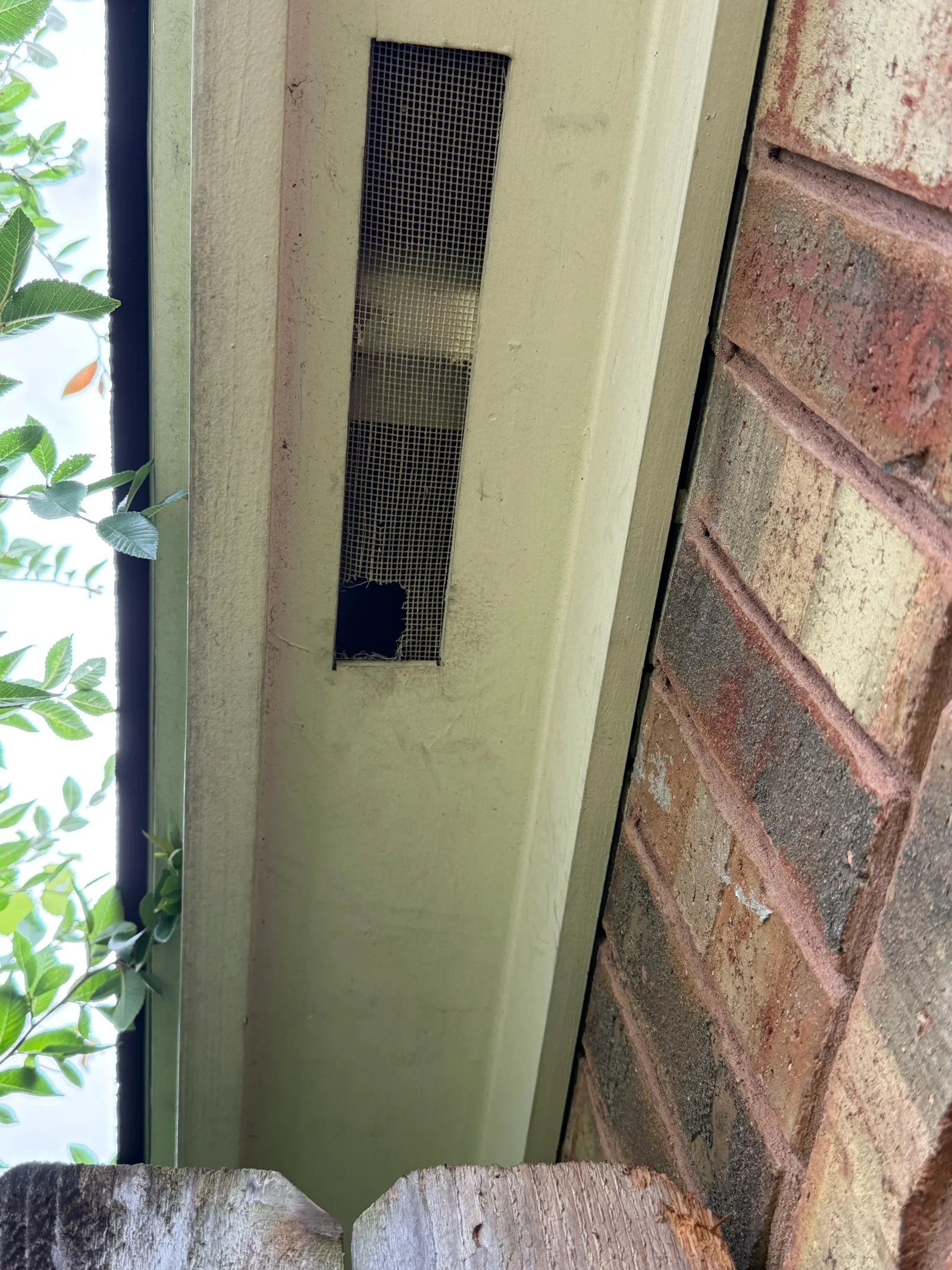 Black mesh screen installed over soffit vent opening in painted exterior wall