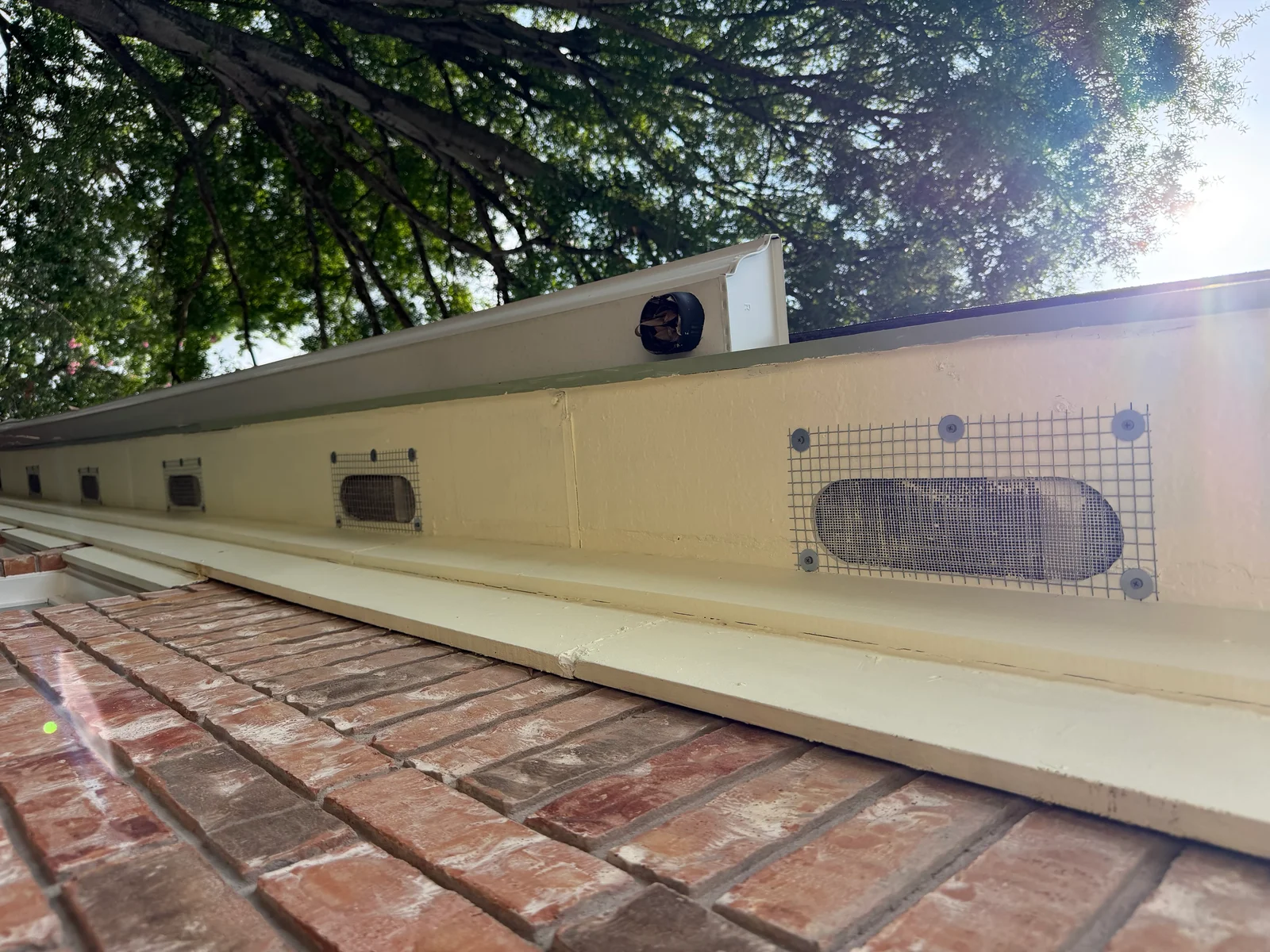 Cream-colored foundation wall with installed hardware cloth mesh screens and sealed vents for rodent exclusion