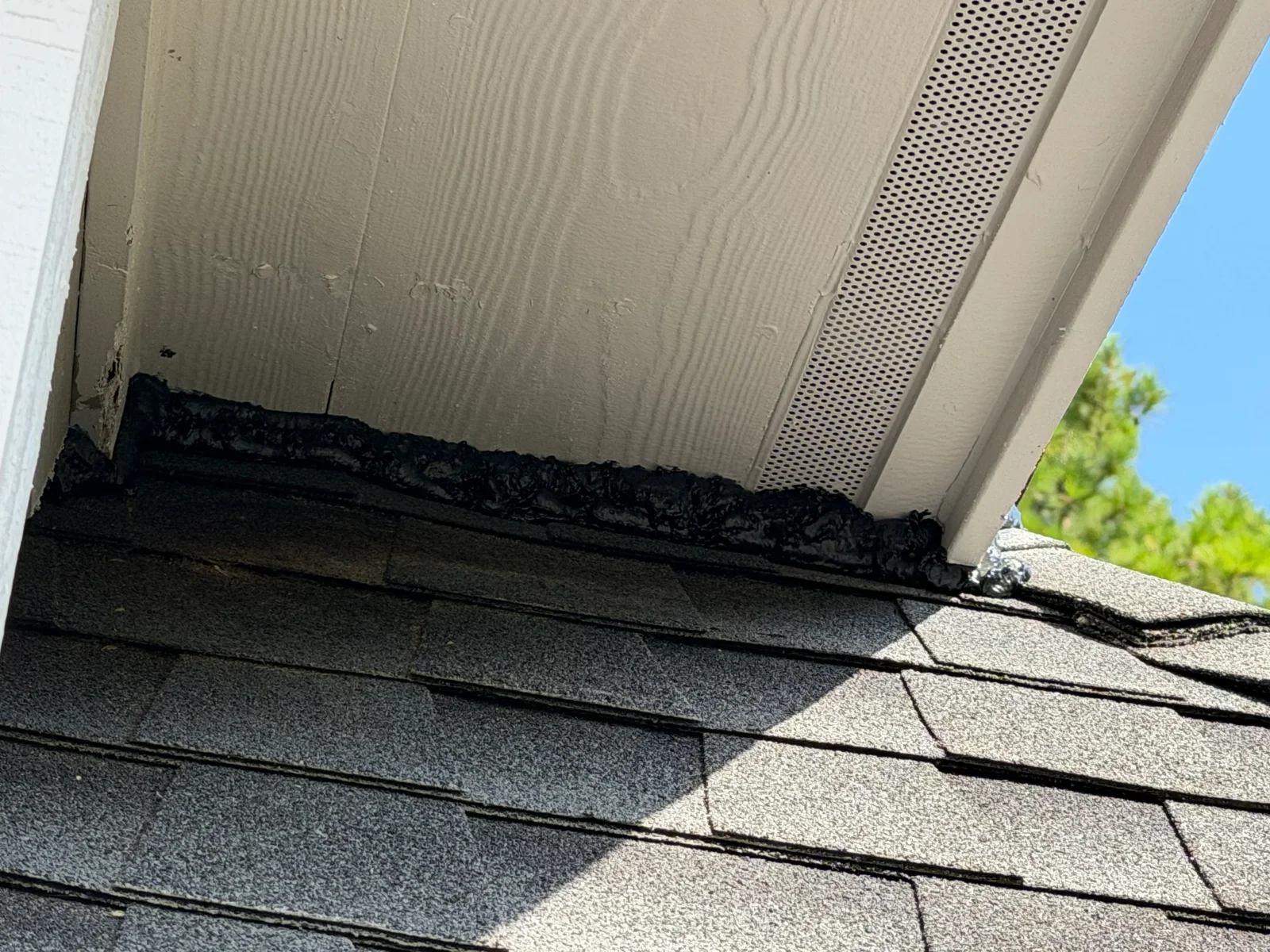 Sealed soffit and fascia with exclusion materials along roofline to prevent rodent entry