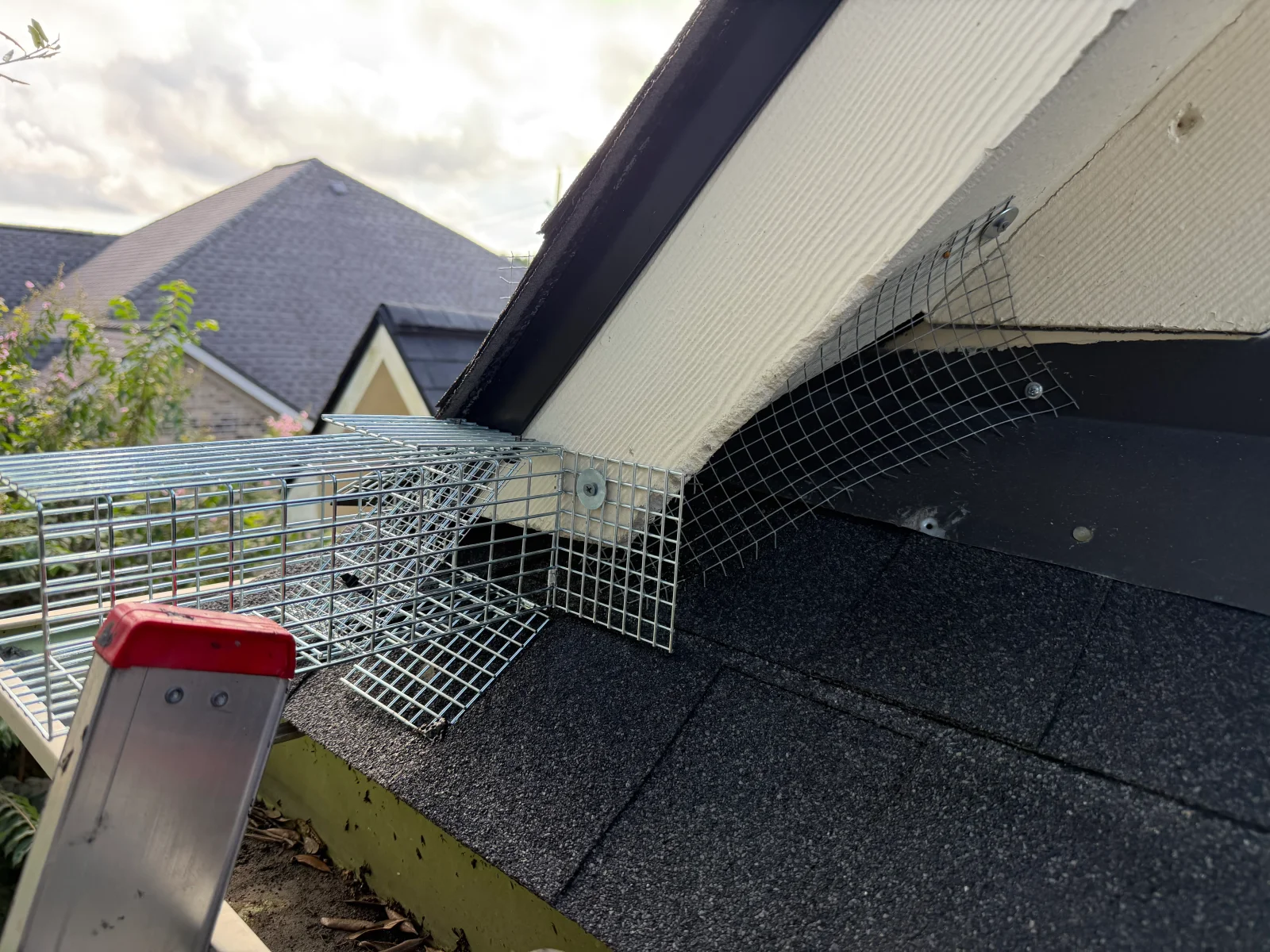 Steel mesh exclusion screening installed on roof edge with corrugated metal roofing and sealed entry points