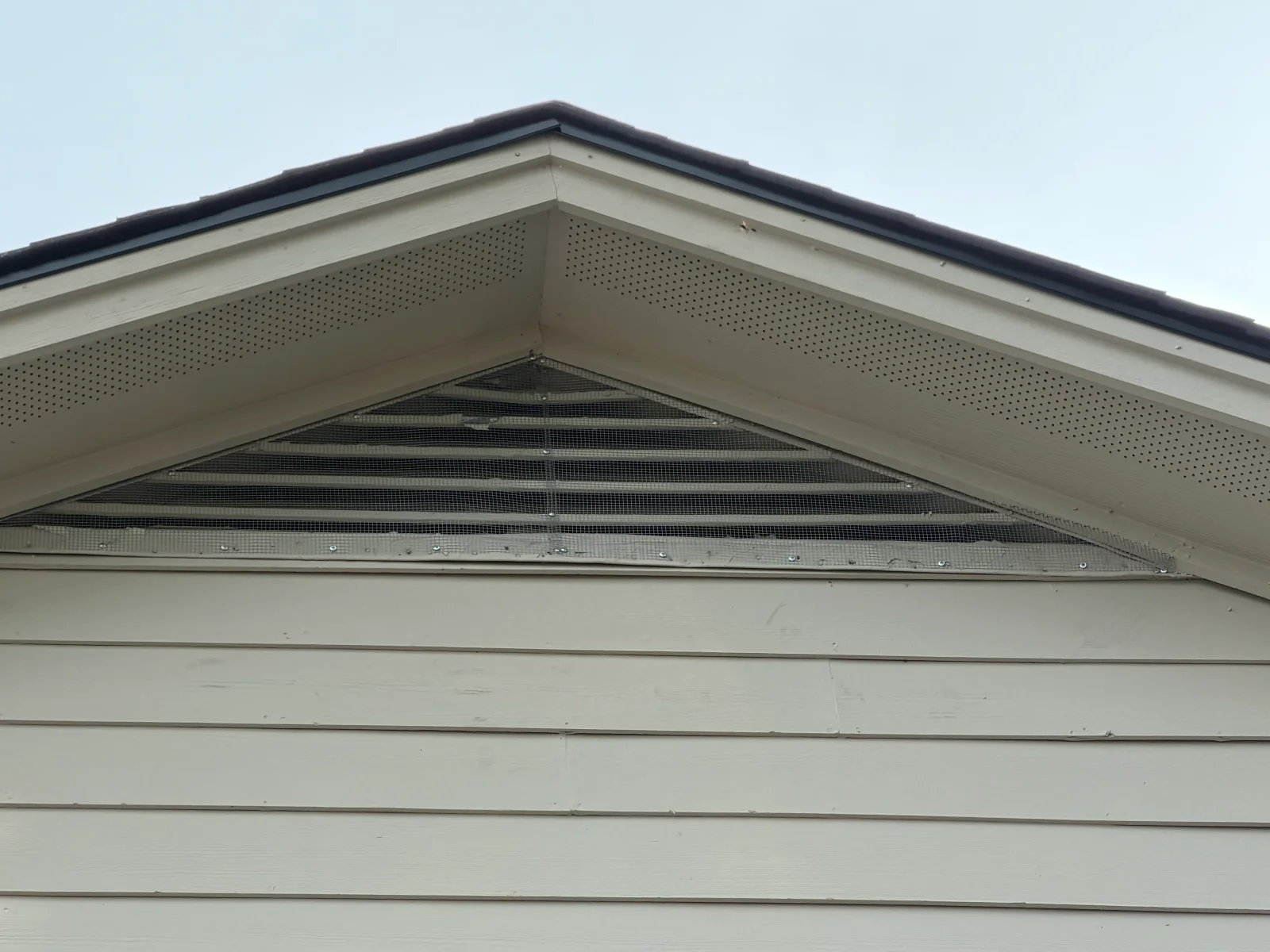 Gable vent with black mesh screening installed over triangular opening in white siding