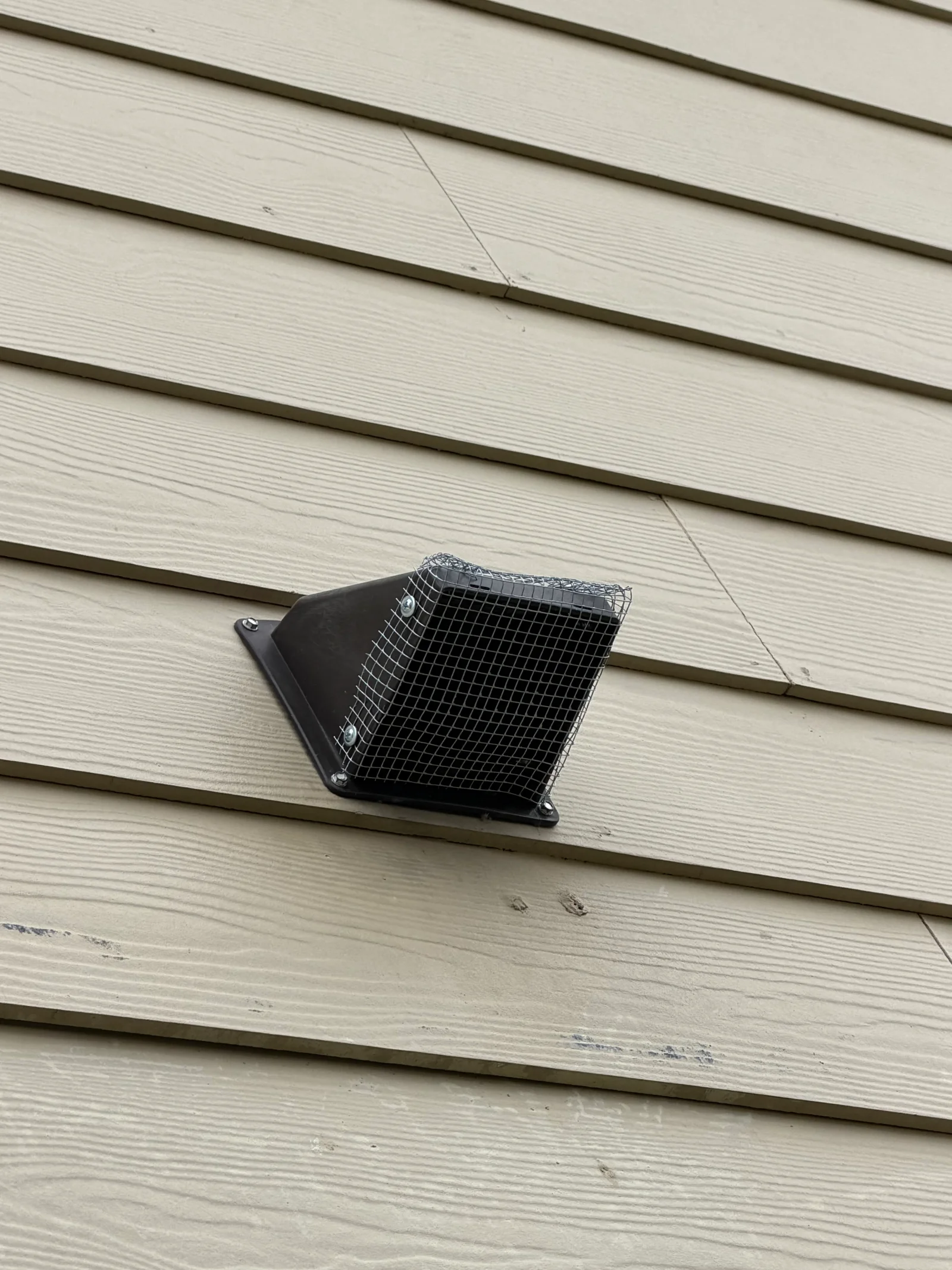 Black metal exclusion screen with mesh grating installed over dryer vent in horizontal siding