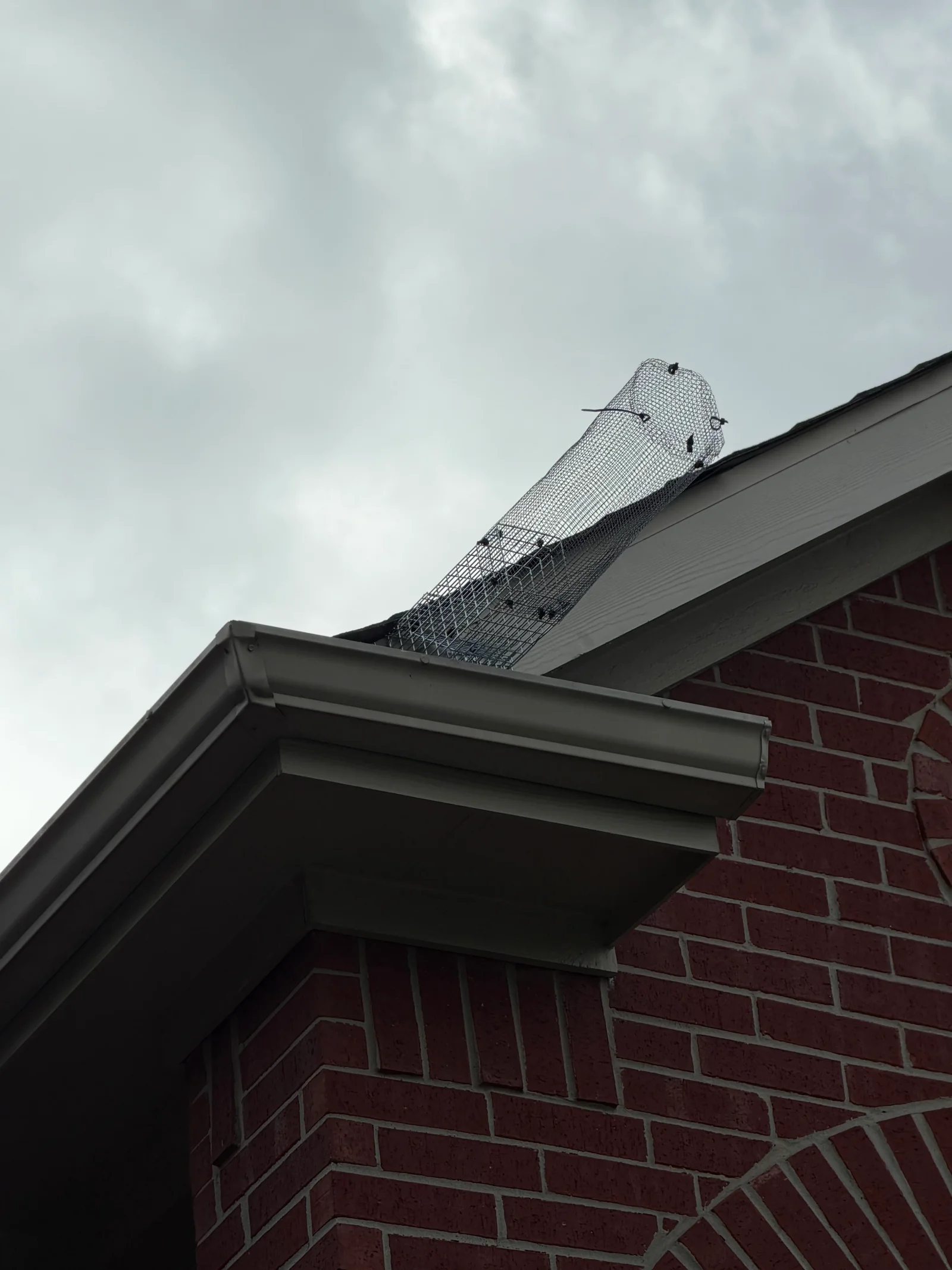 Metal chimney cap with mesh screening installed on brick chimney with dark fascia